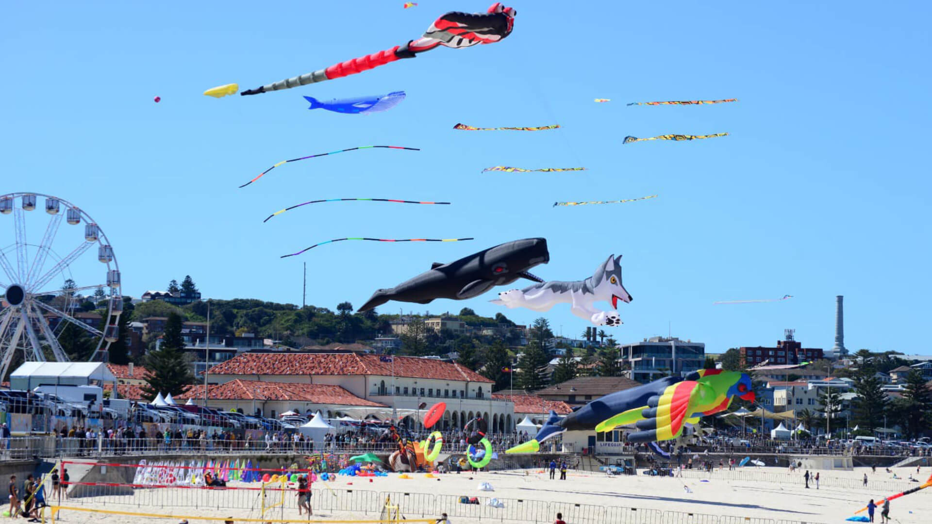 AKS WEBSITE Background Images (5)