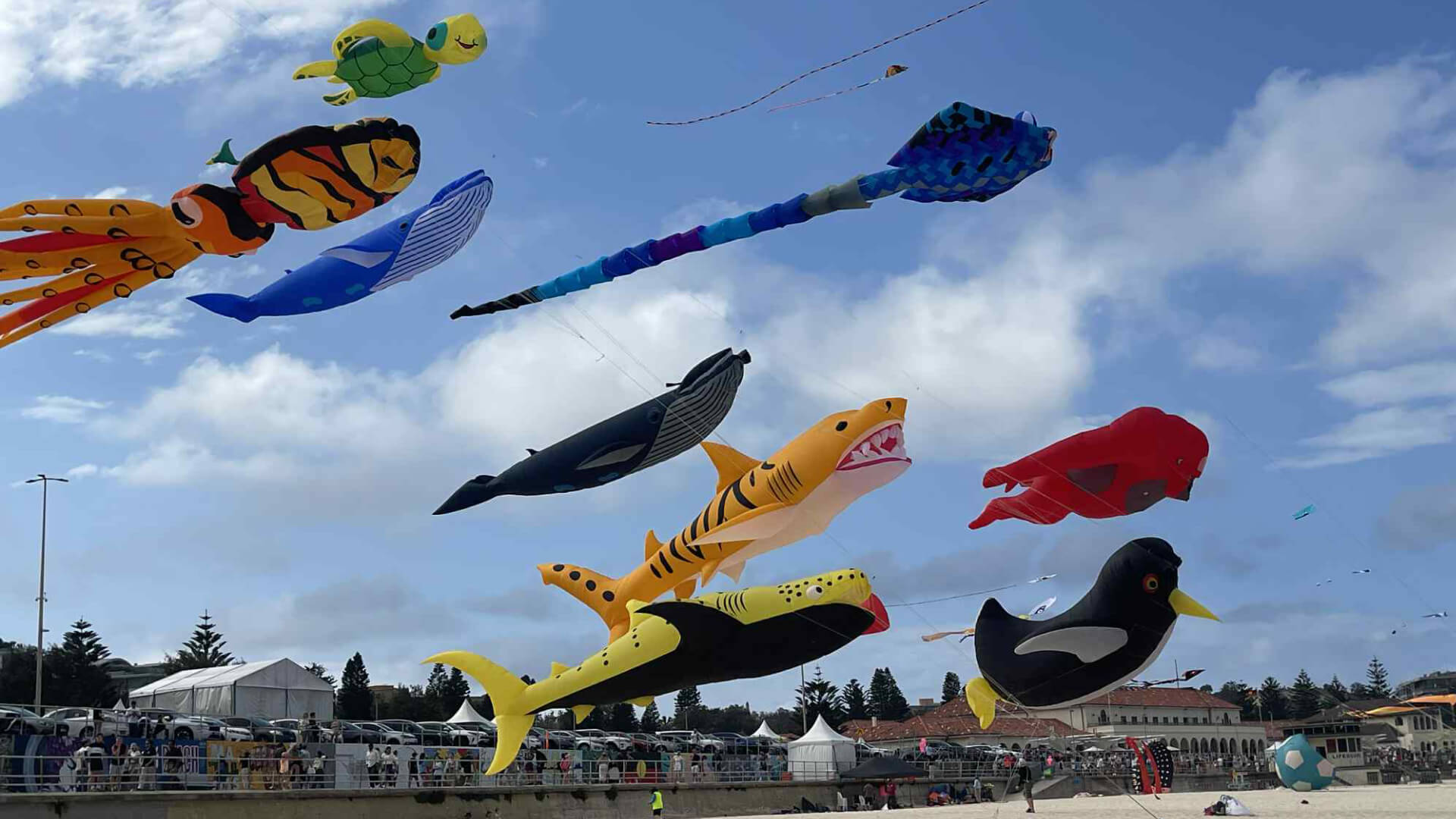 AKS WEBSITE Background Images